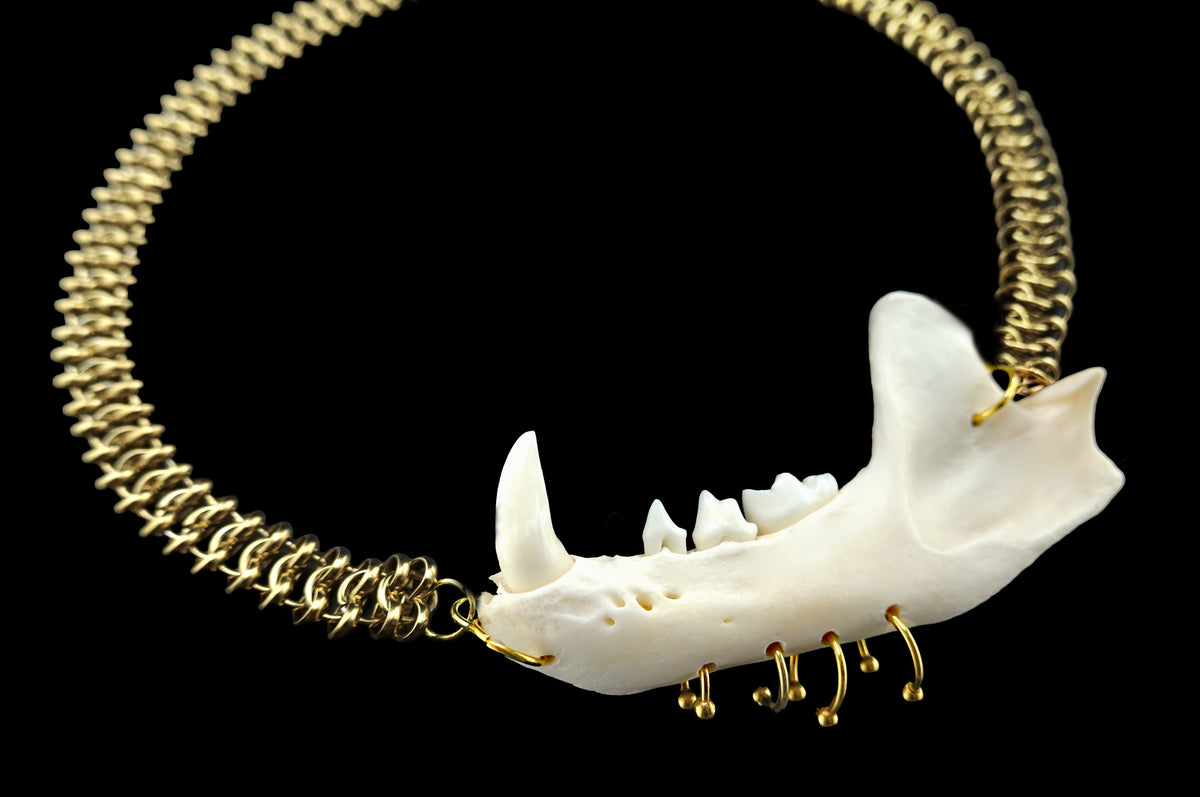 Jaw Breaker Choker