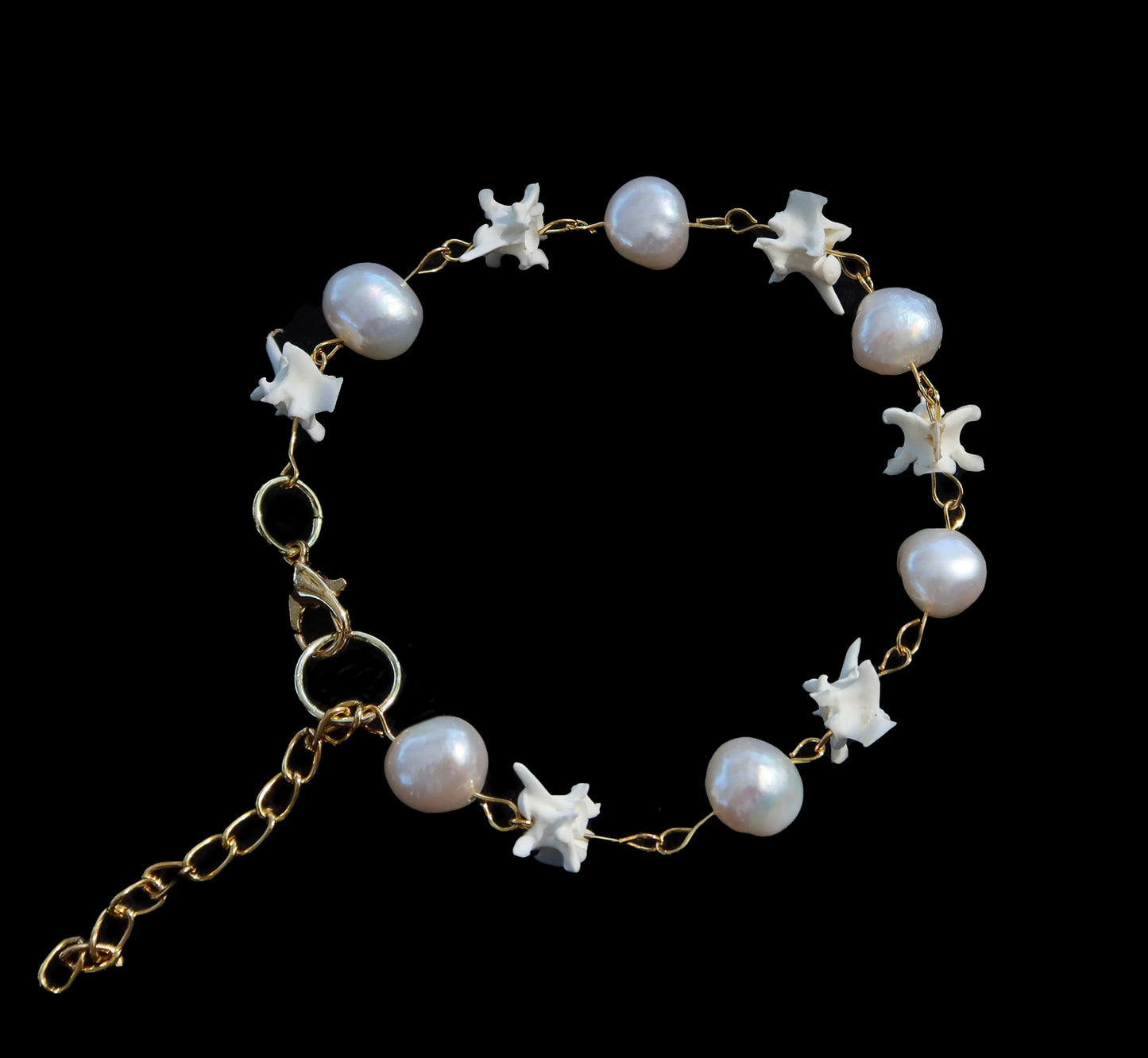 Rattlesnake Spine and Pearl Bracelet