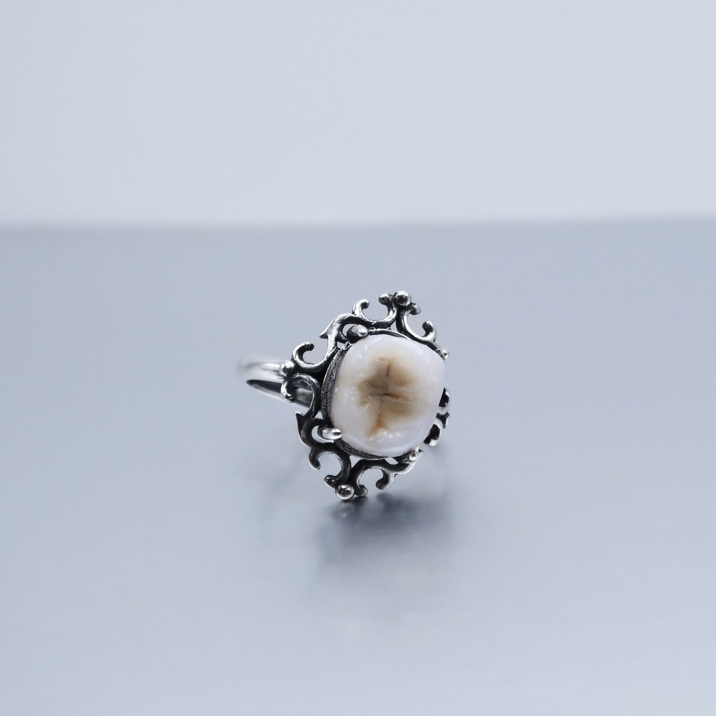 Filled Cavity Molar Ring