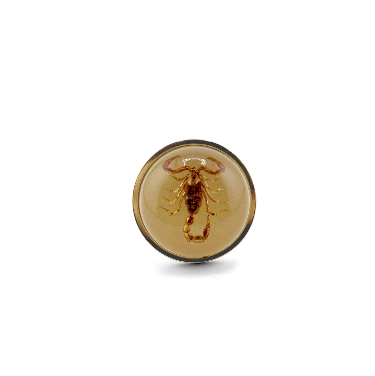 Scorpio Rings Real Scorpion