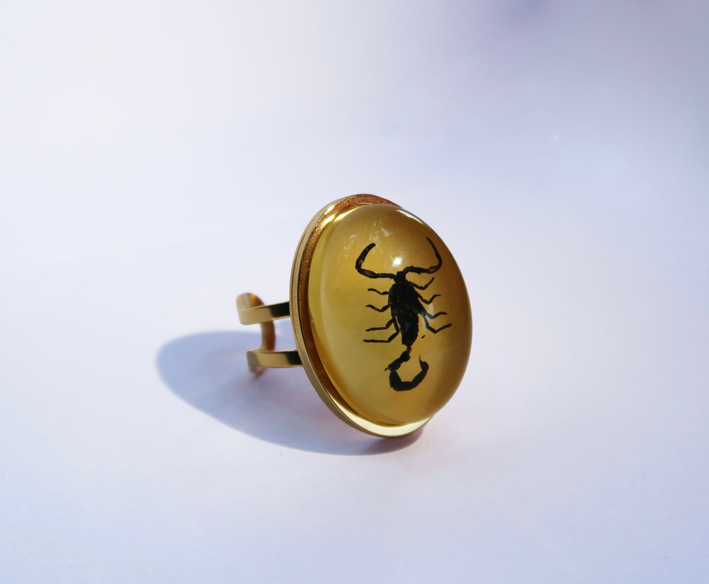 Scorpio Rings Real Scorpion