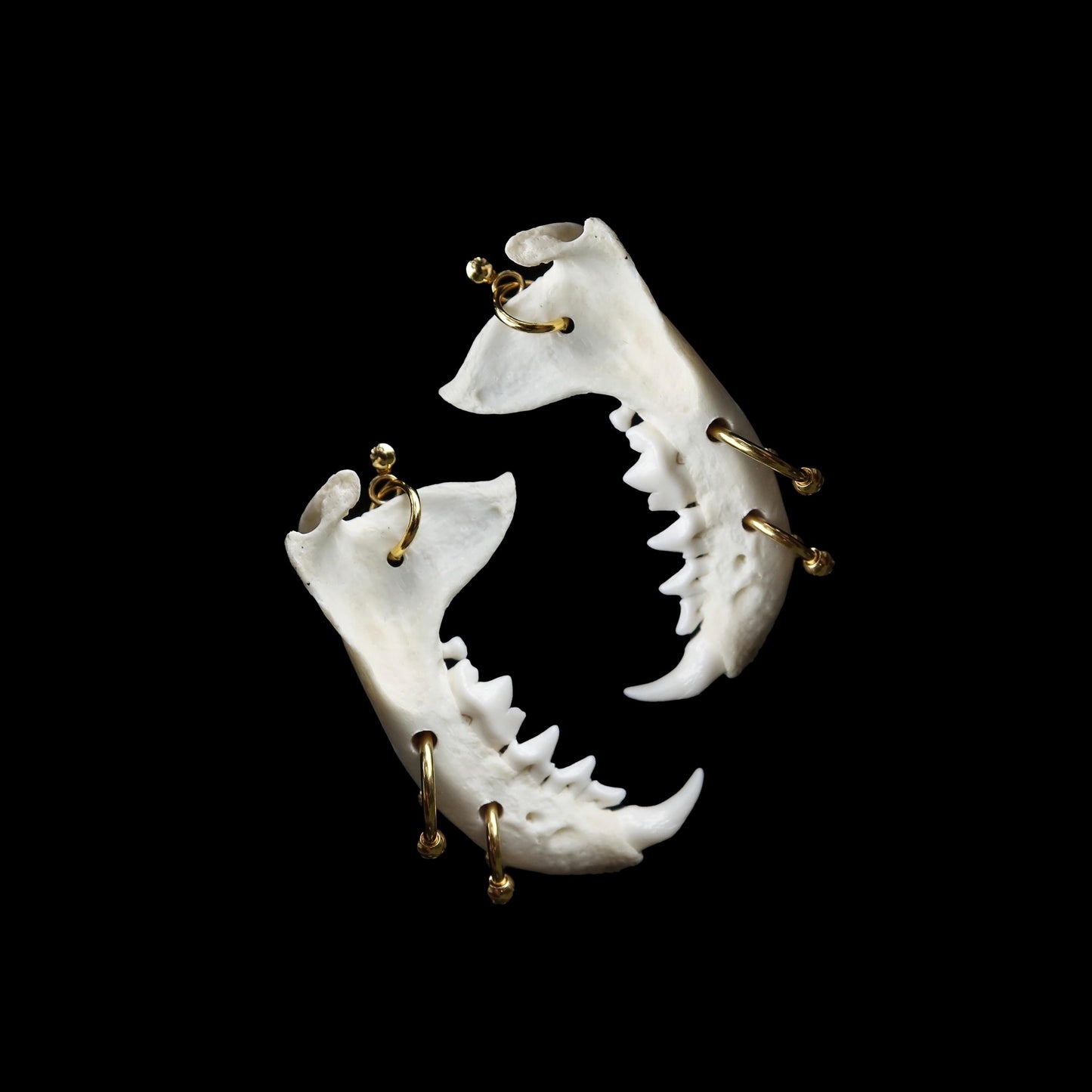 Jaw Dropper Pierced Mink Jawbone Earrings