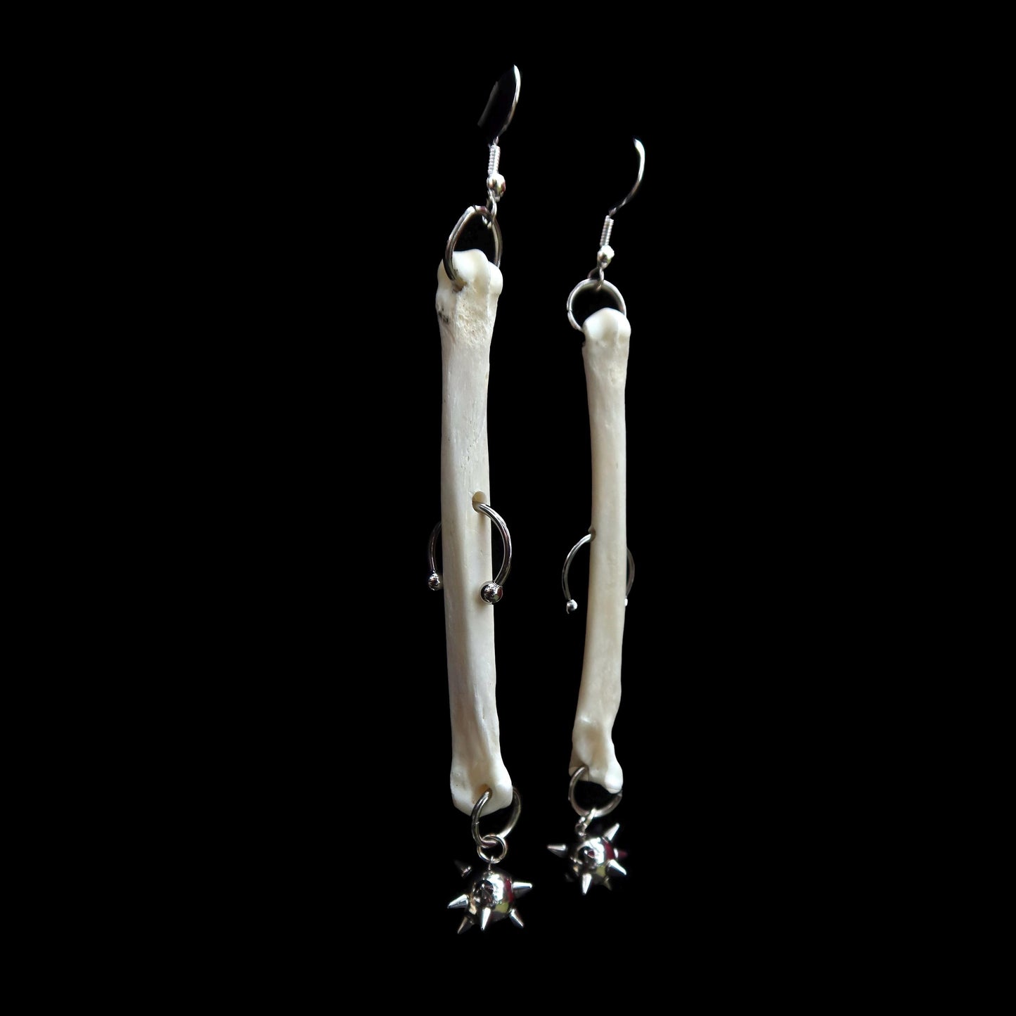 Ares Coyote Foot Bone Earrings