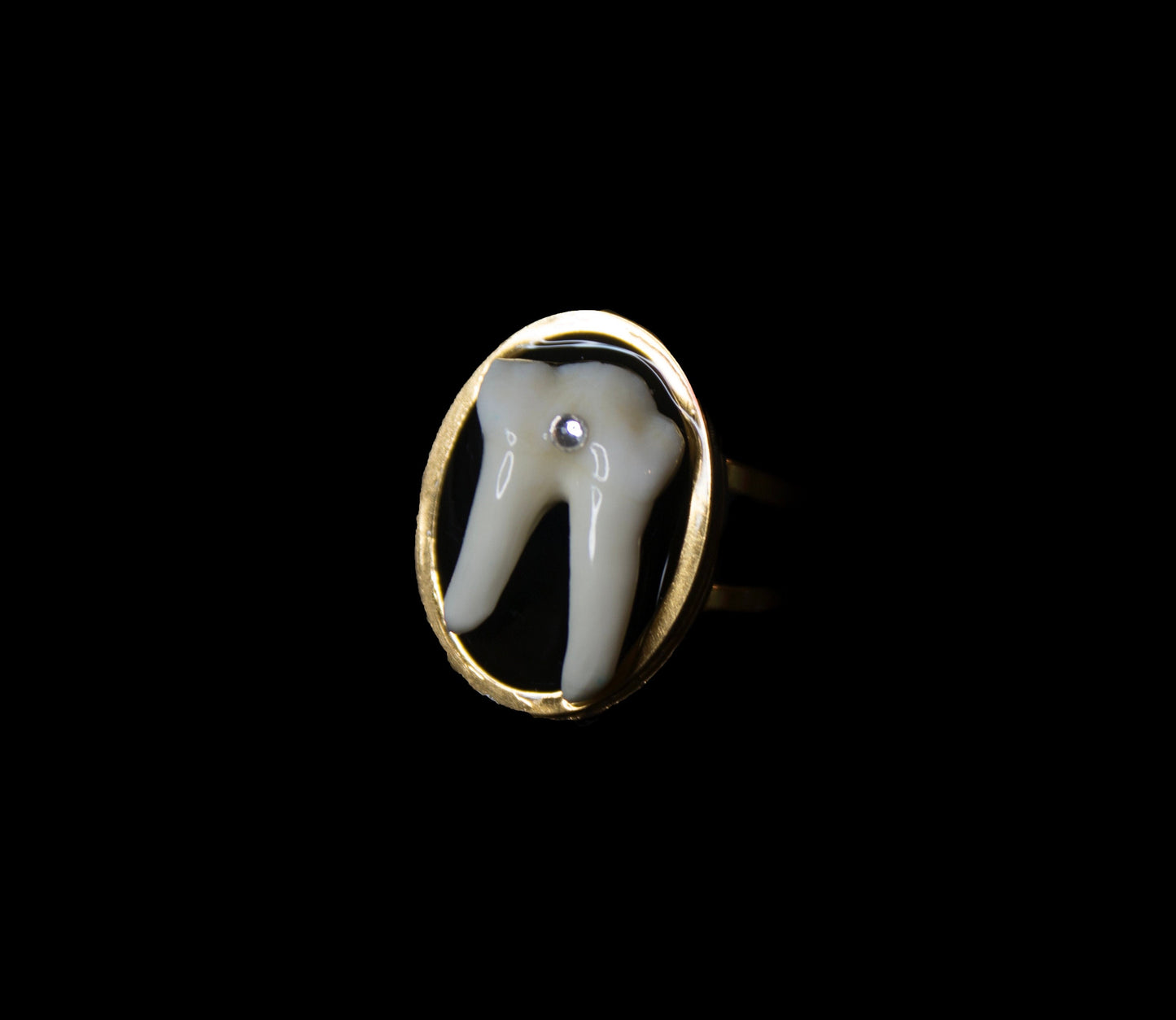 Coyote Molar Statement Ring