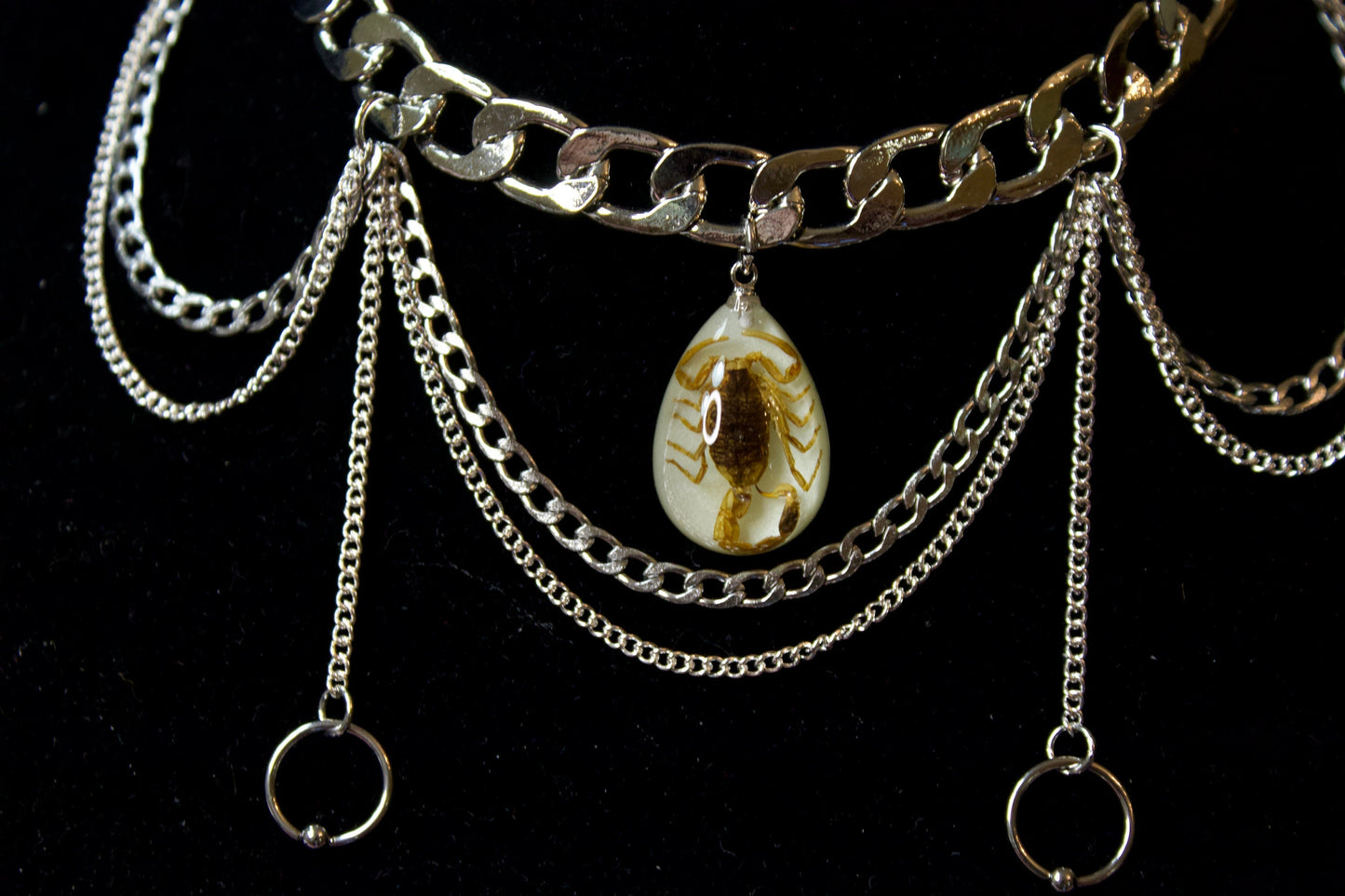 Scorpio 3.0 Choker Preserved Scorpion Necklace