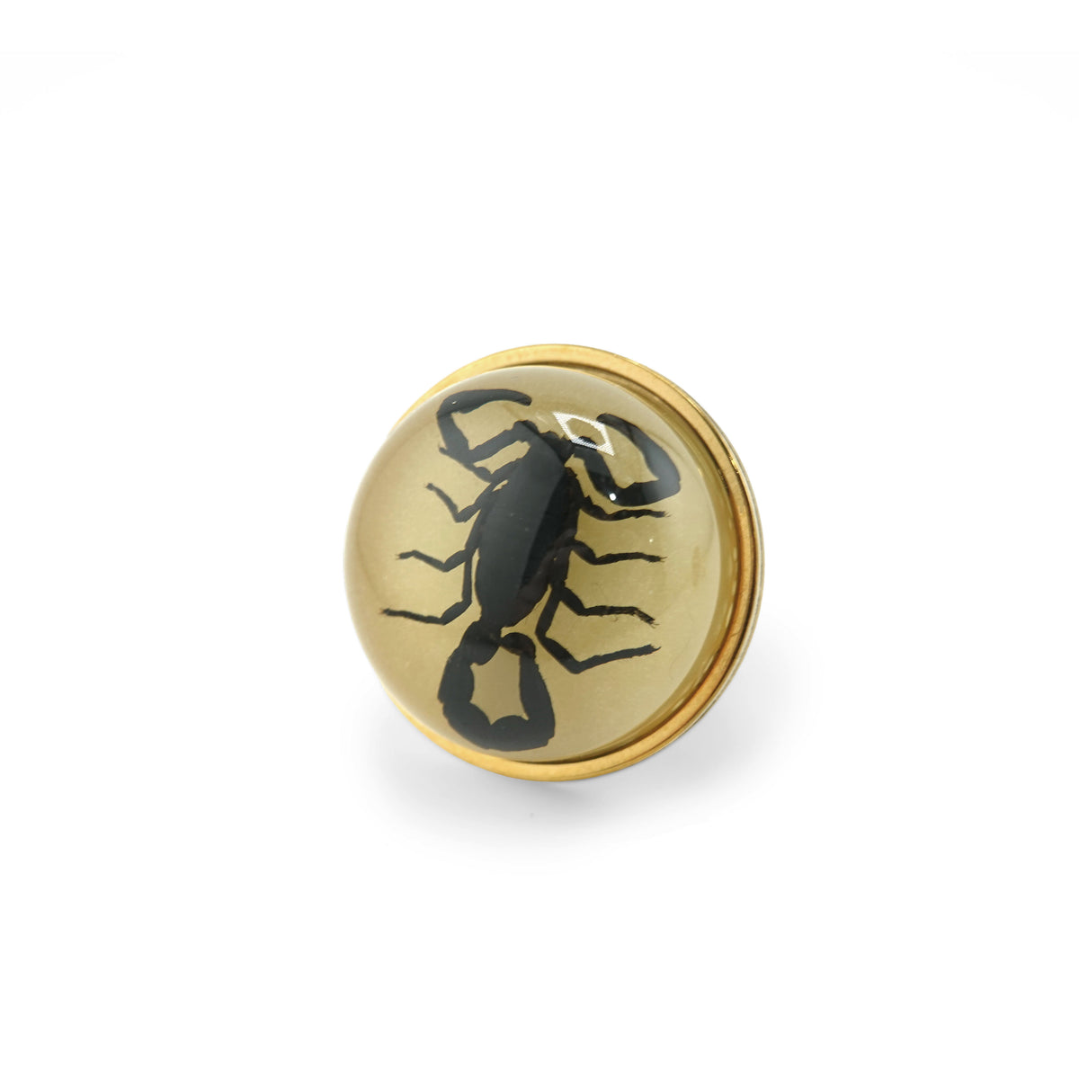 Scorpio Rings Real Scorpion
