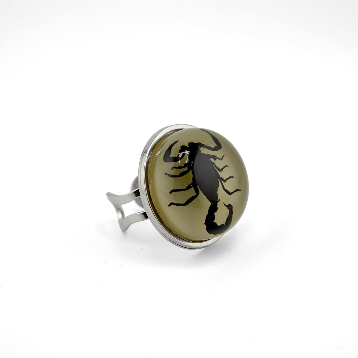 Scorpio Rings Real Scorpion
