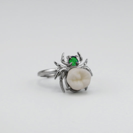 Filled Cavity Molar Ring