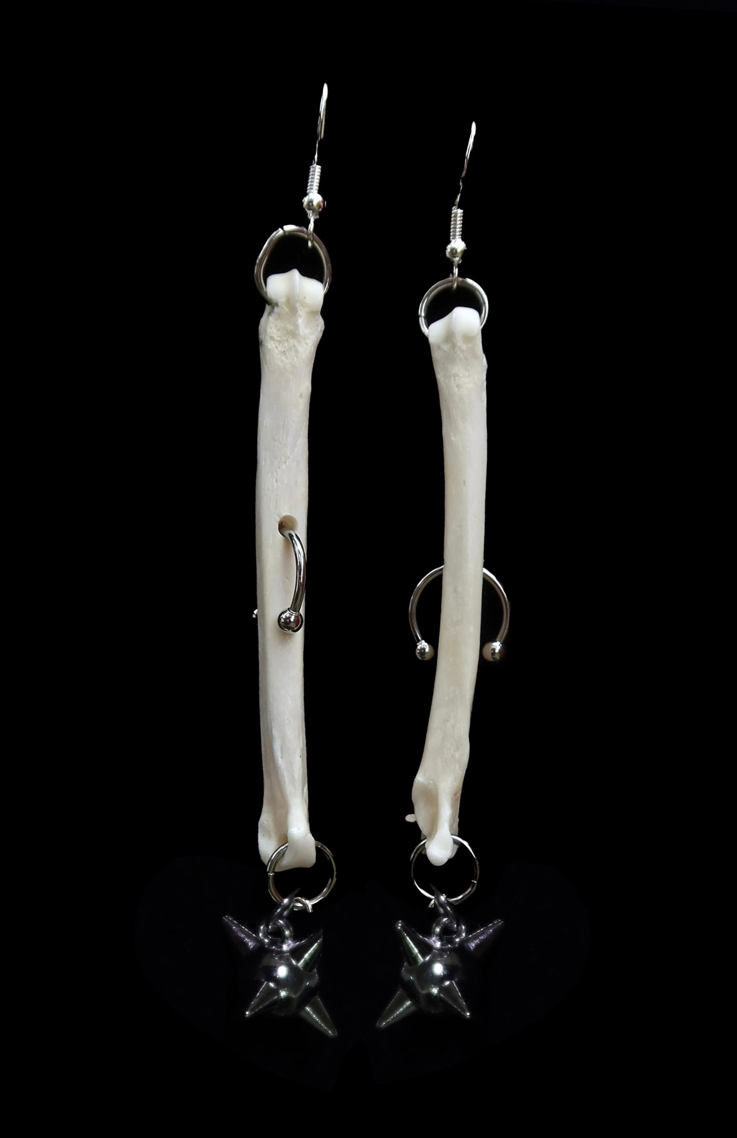 Ares Coyote Foot Bone Earrings
