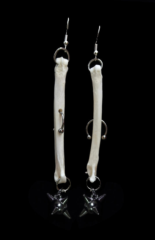 Ares Coyote Foot Bone Earrings