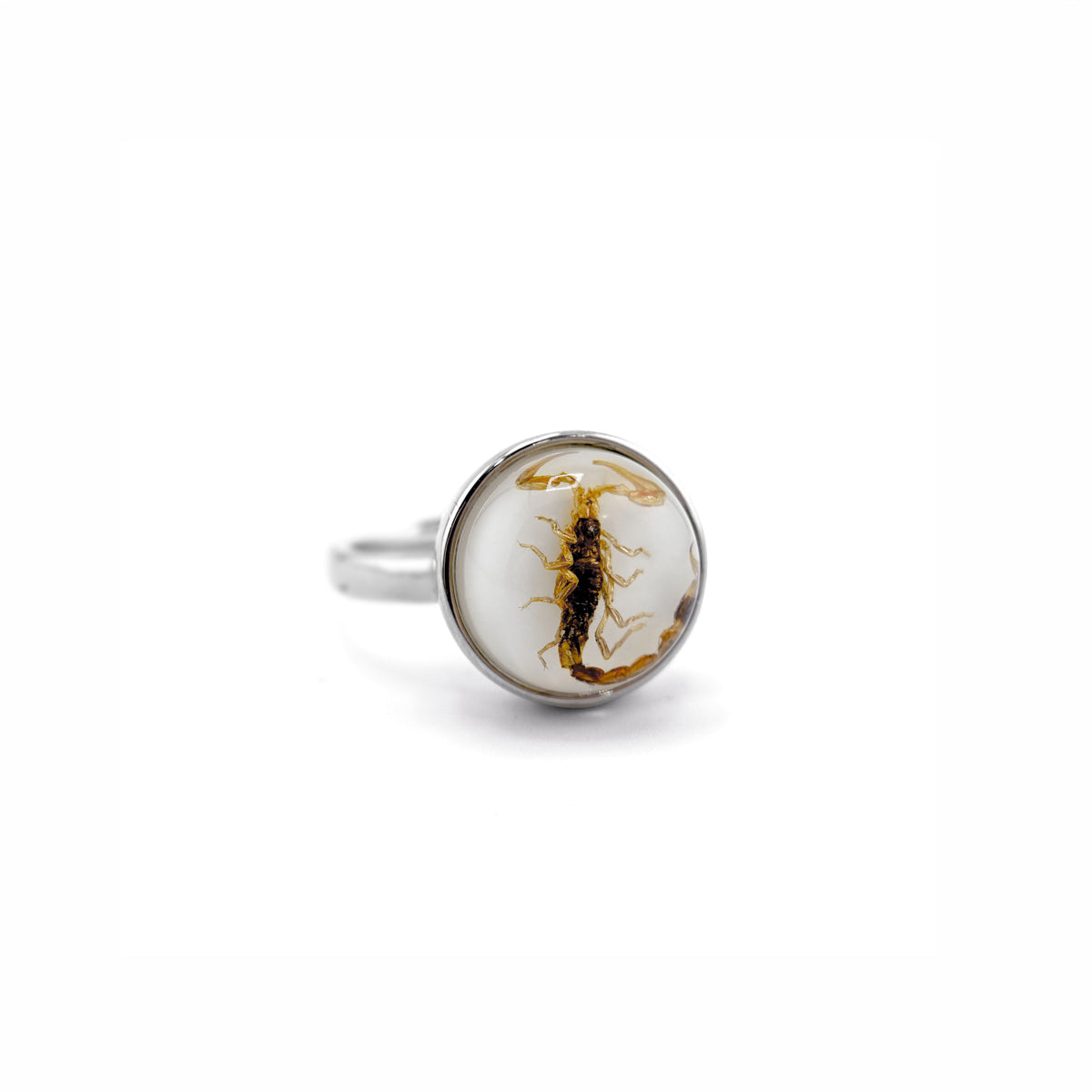 Scorpio Rings Real Scorpion