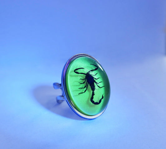 Scorpio Rings Real Scorpion