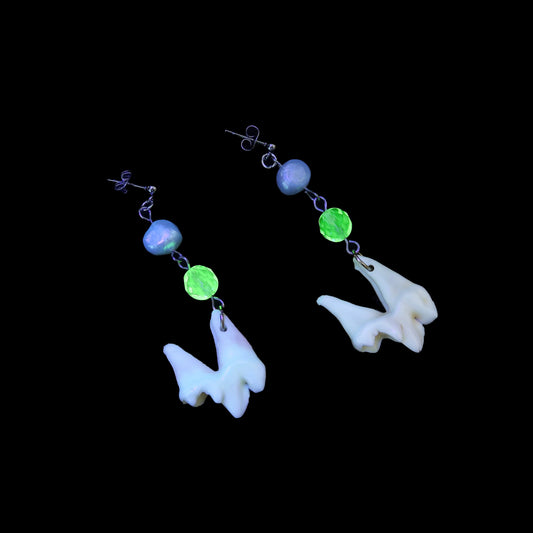 Uranium and Coyote Tooth Earrings