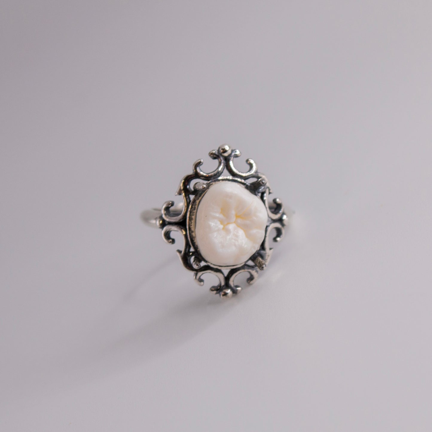 Filled Cavity Molar Ring