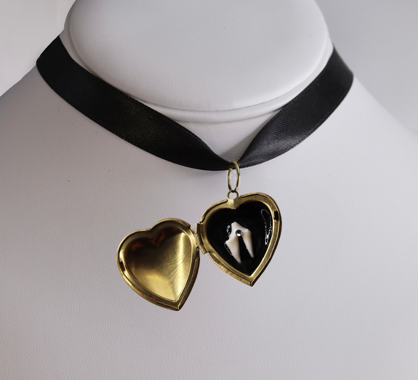 Loose Tooth Locket