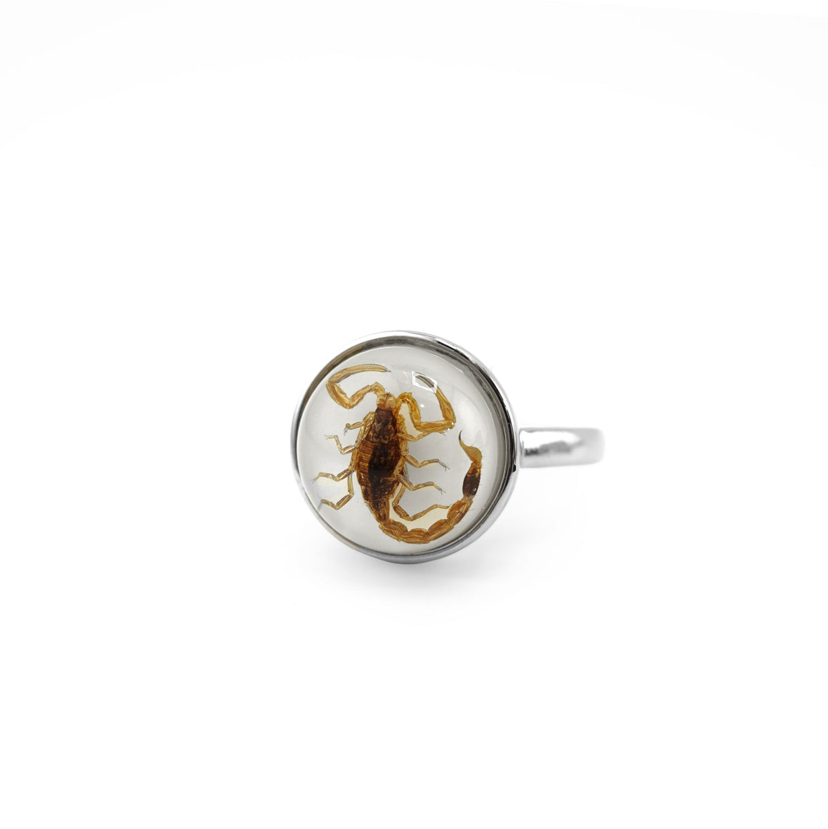 Scorpio Rings Real Scorpion