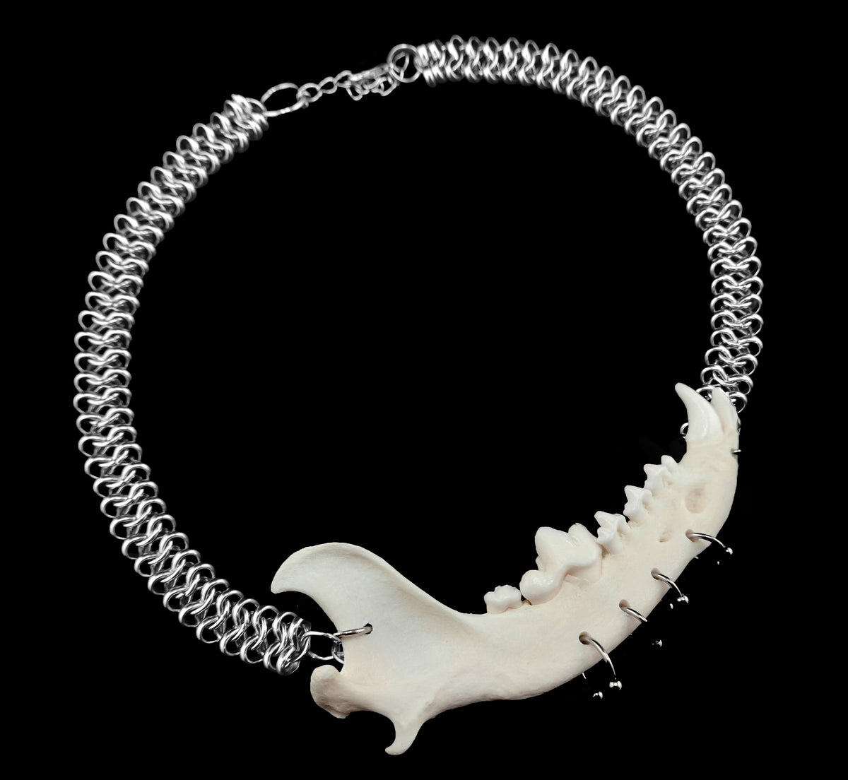 Jaw Breaker Choker