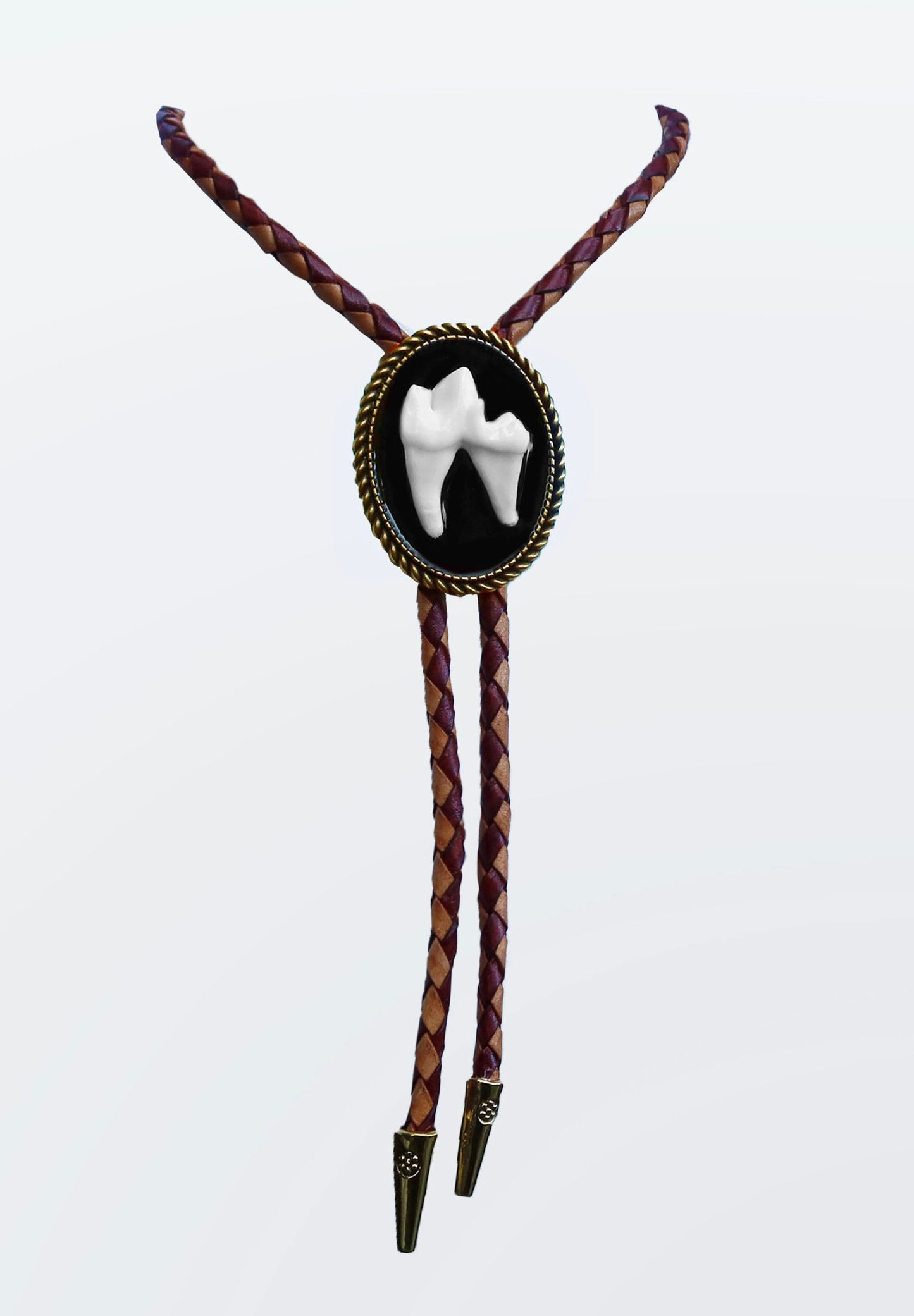 Bone Coyote Molar Bolo Ties