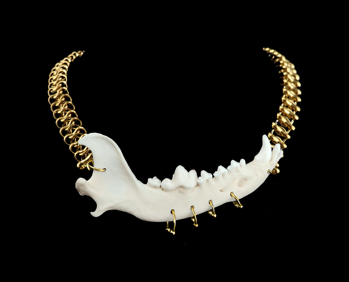 Jaw Breaker Choker