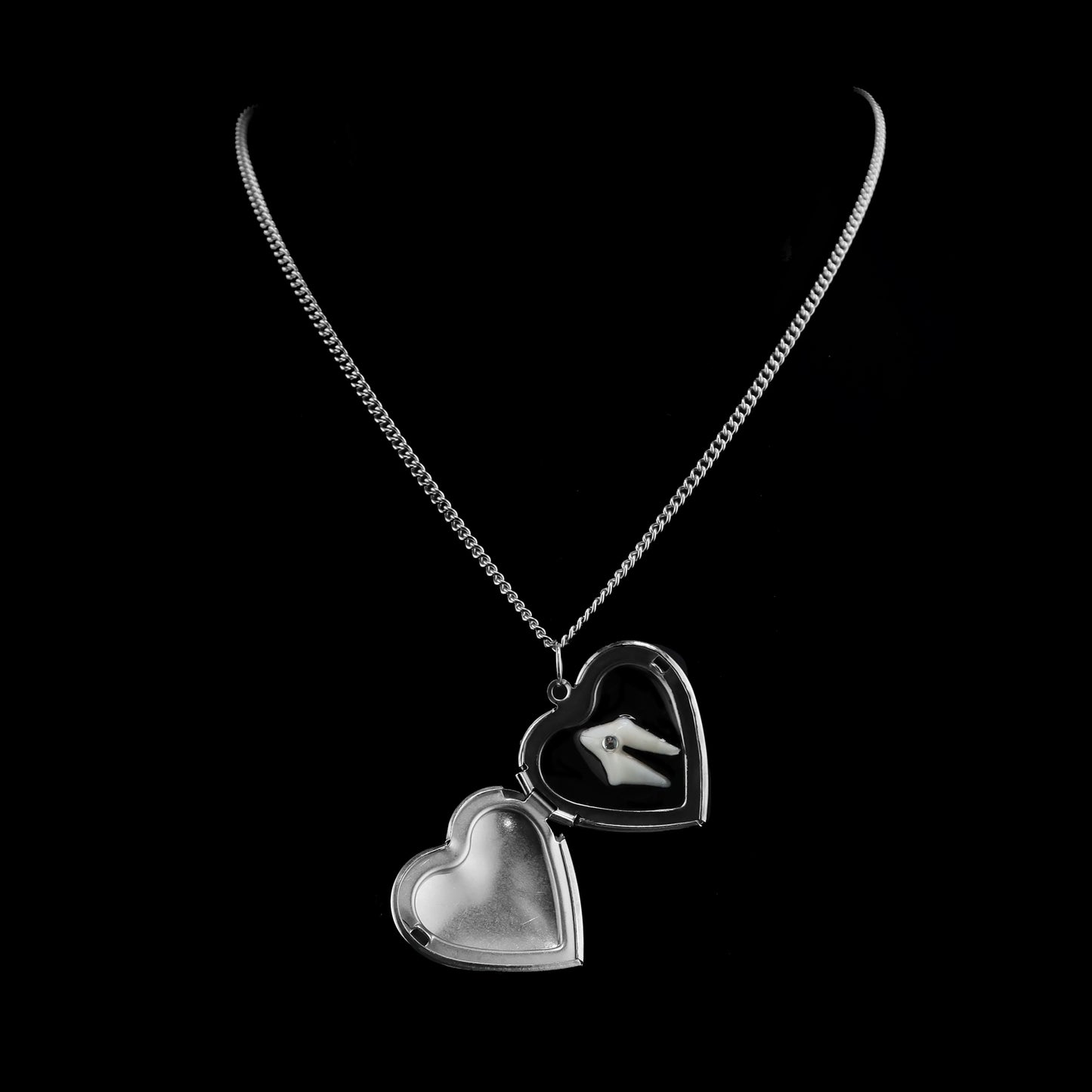 Loose Tooth Locket
