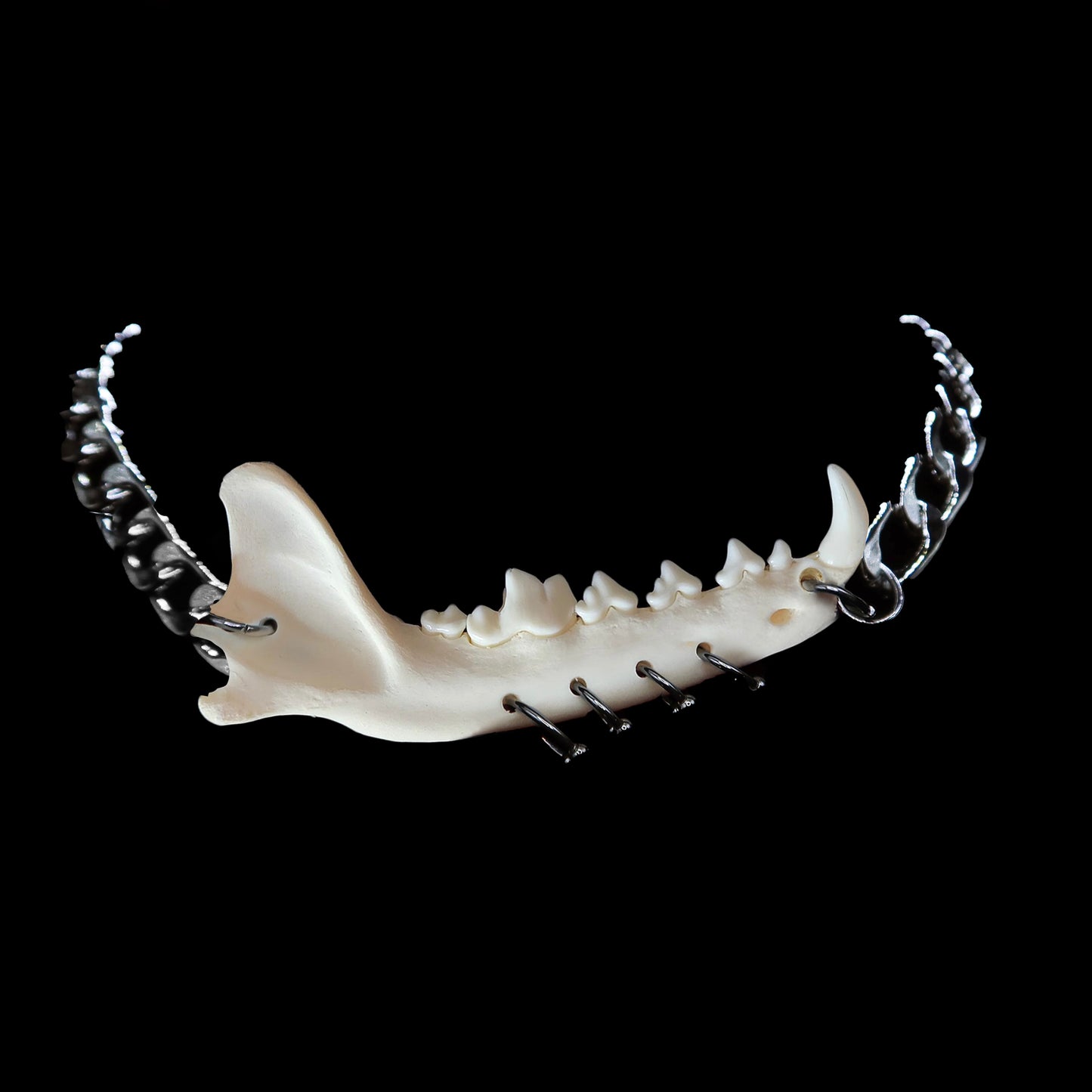Jaw Breaker Choker