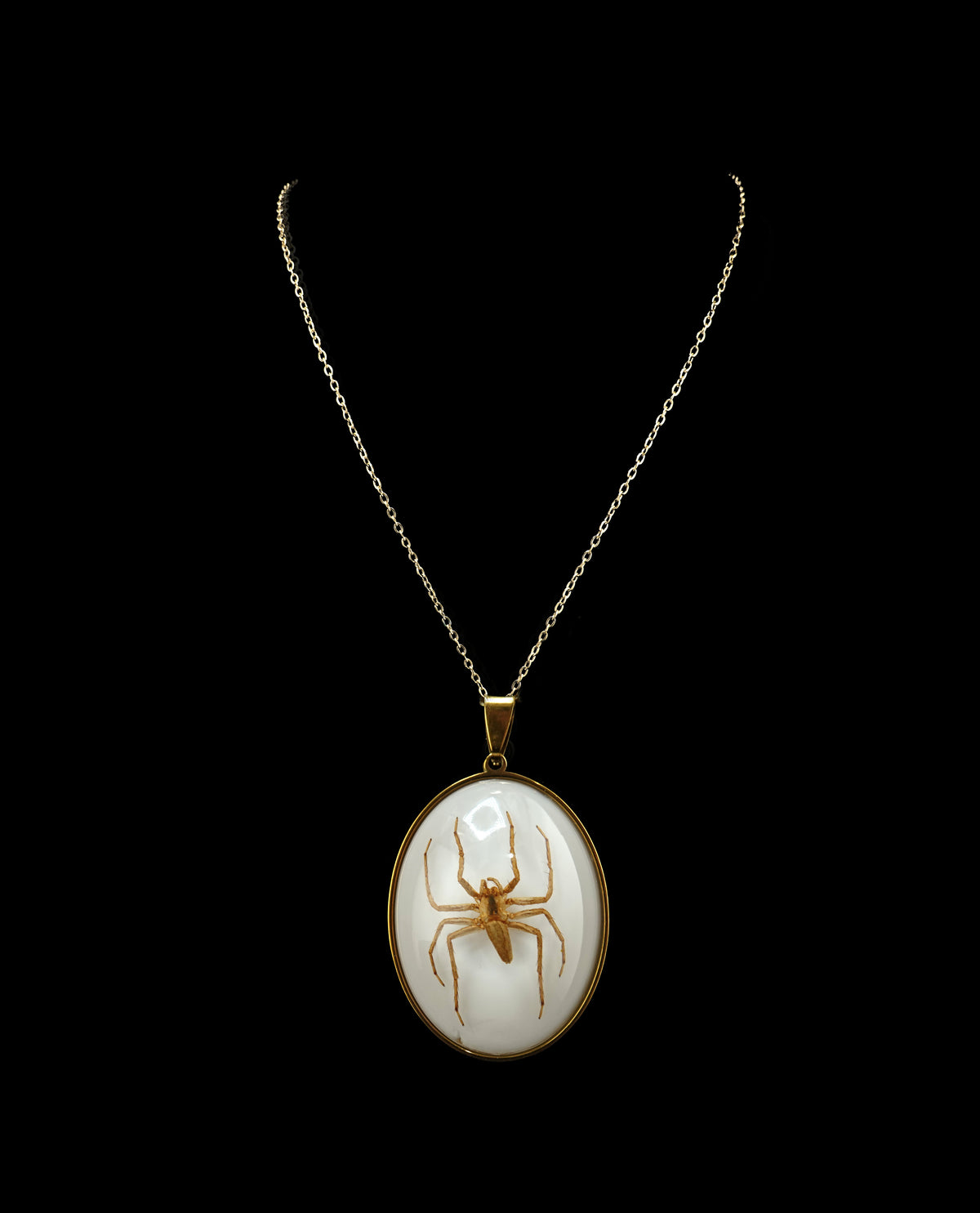 Spinning Webs Pendent