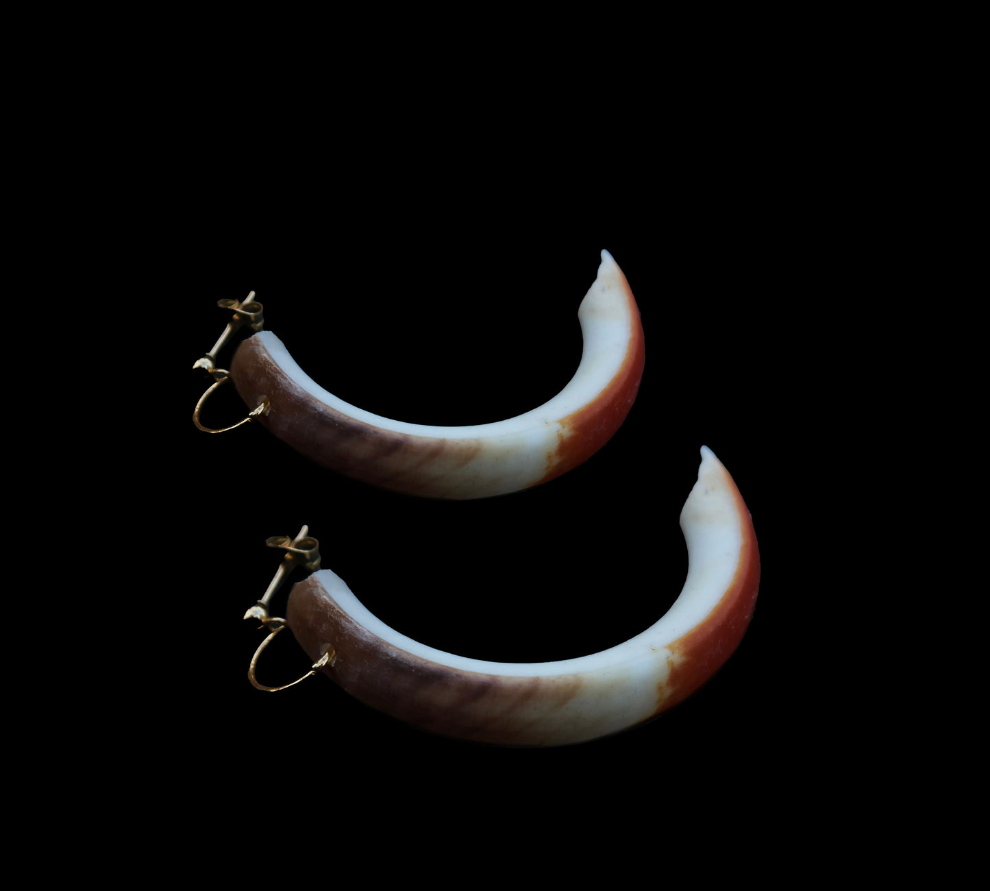Beaver Tooth Earrings