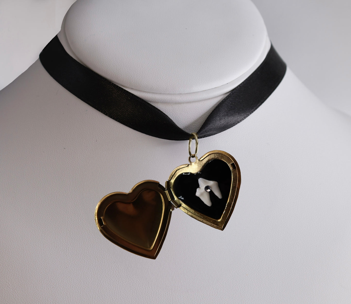 Loose Tooth Locket