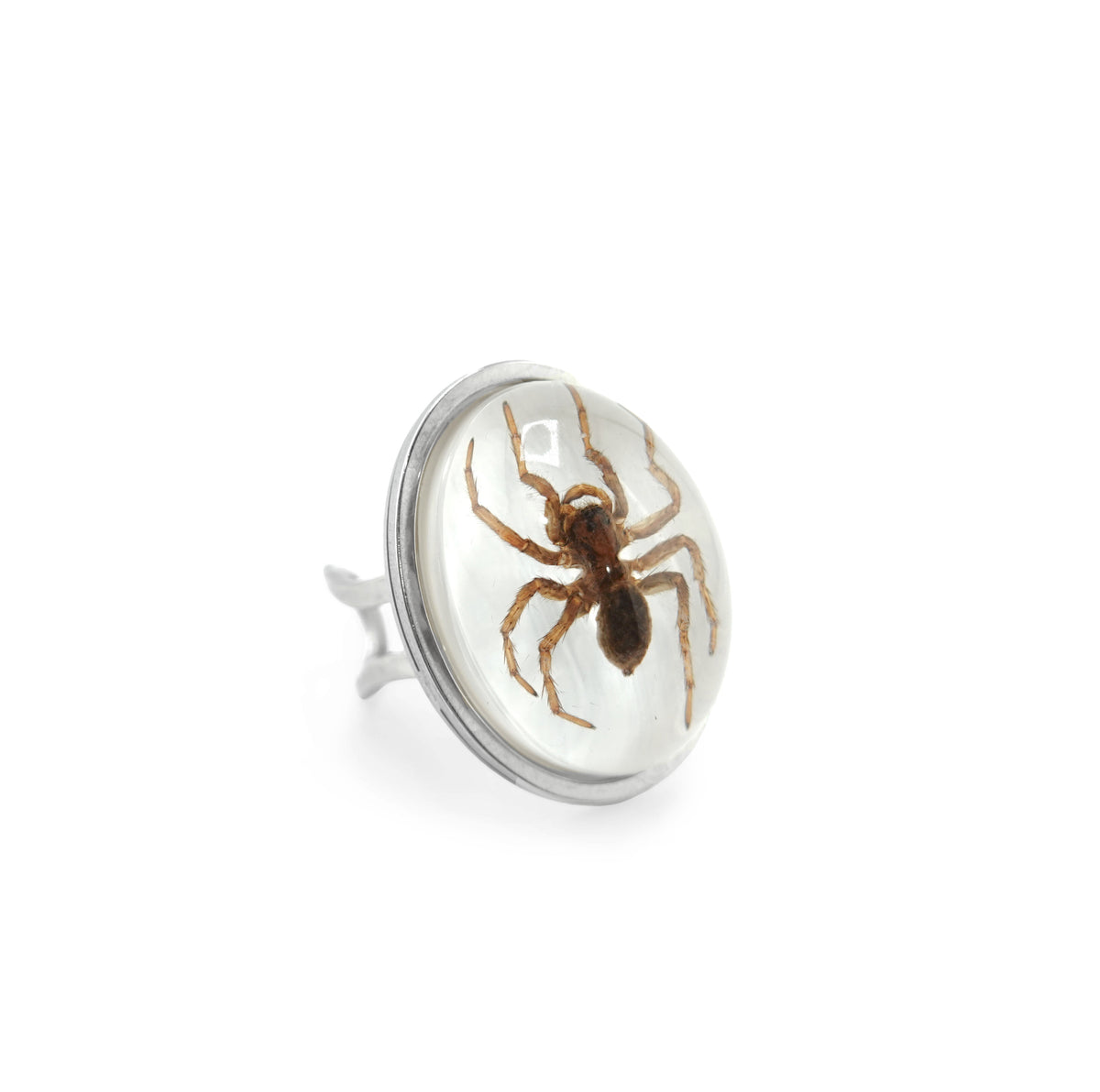 Spinning Webs Rings Real Spider Ring
