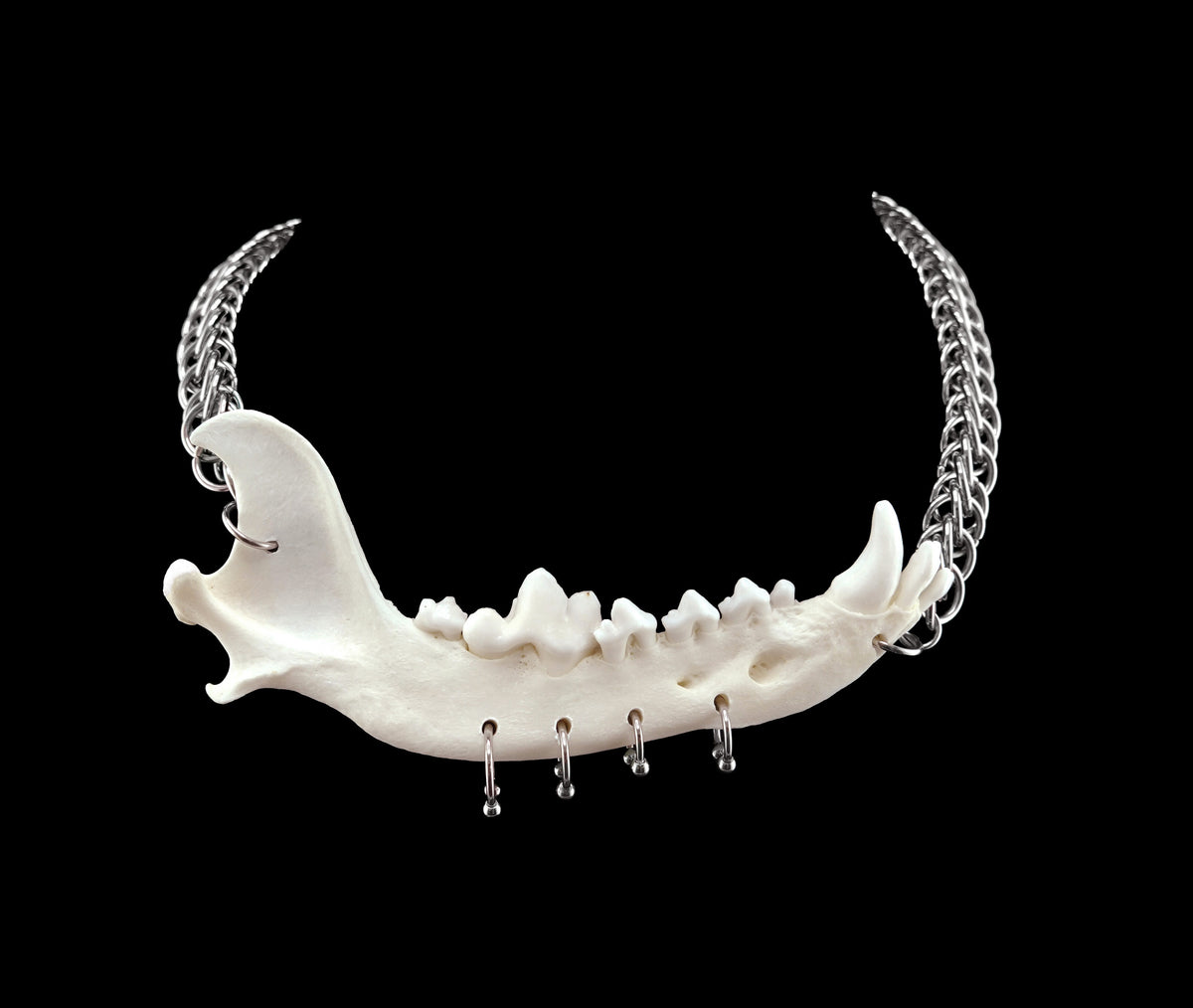 Jaw Breaker Chainmail Choker
