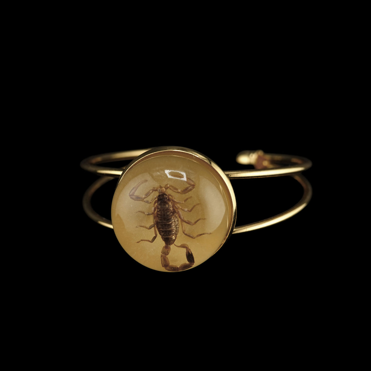 Scorpio Bangle Bracelet