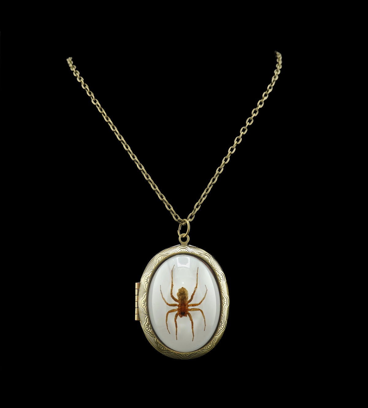 Spinning Webs Locket
