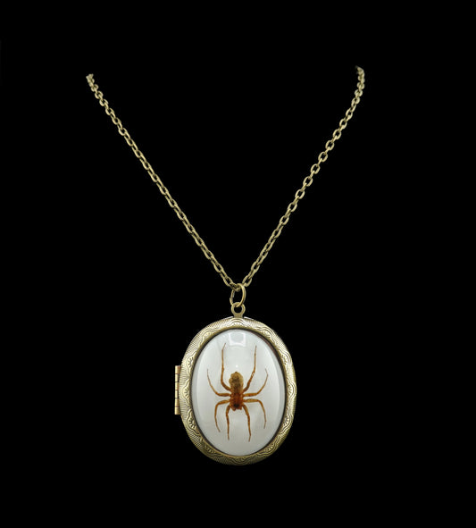 Spinning Webs Locket