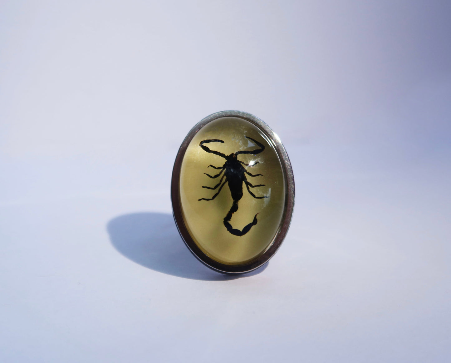 Scorpio Rings Real Scorpion