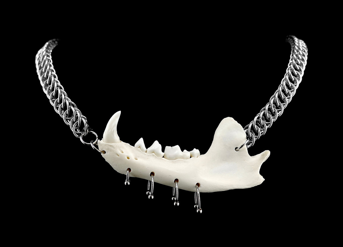 Jaw Breaker Chainmail Choker