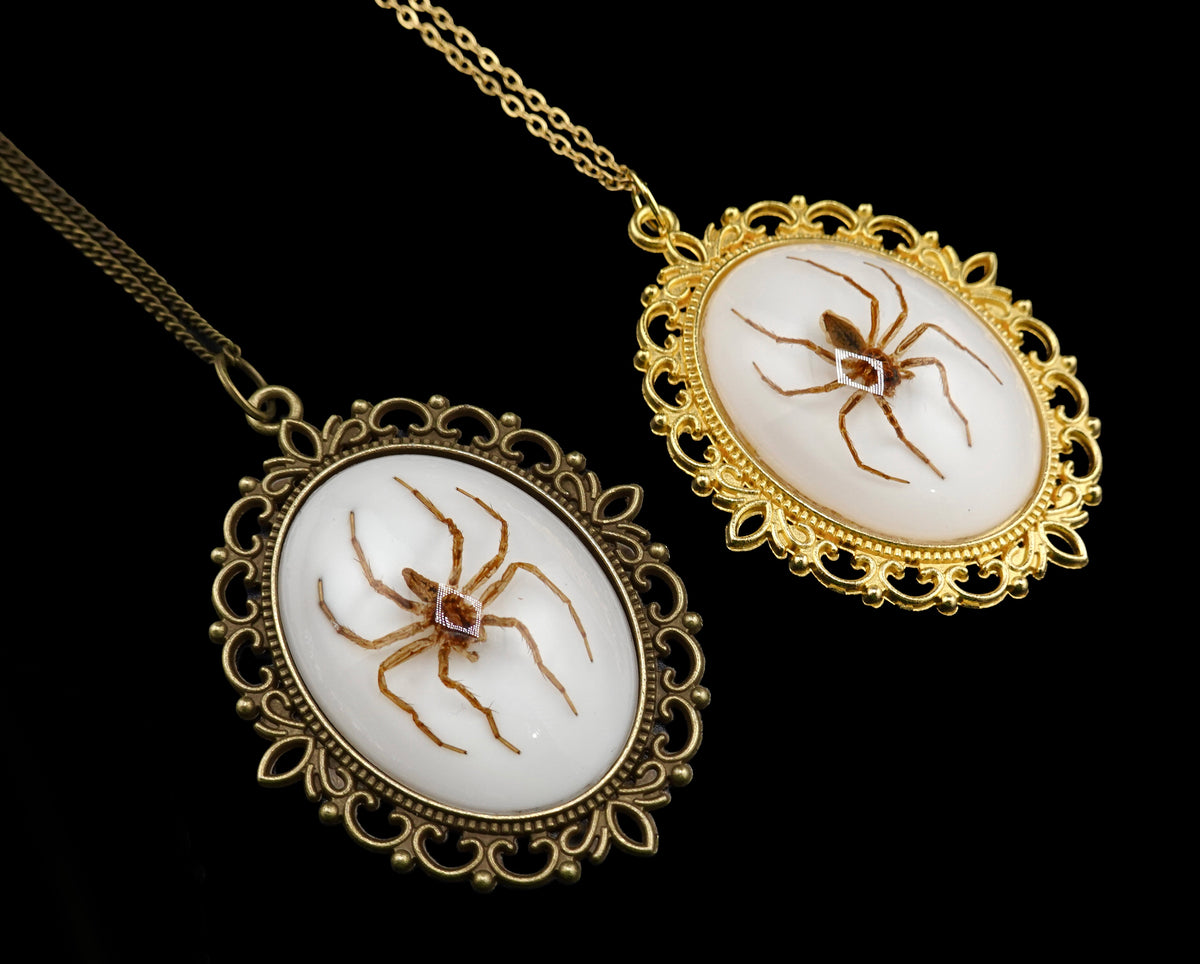 Spinning Webs Pendent