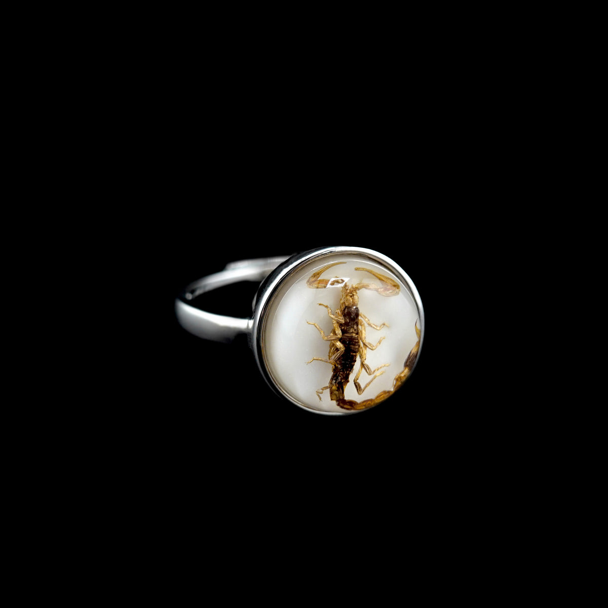 Scorpio Rings Real Scorpion