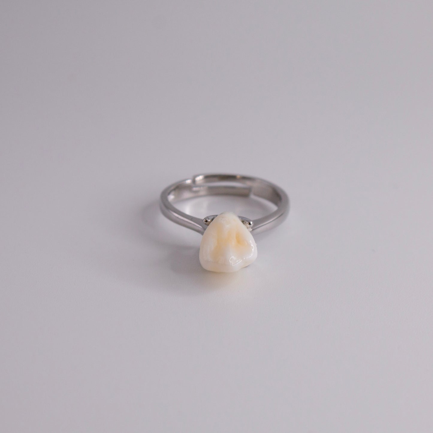 Filled Cavity Molar Ring