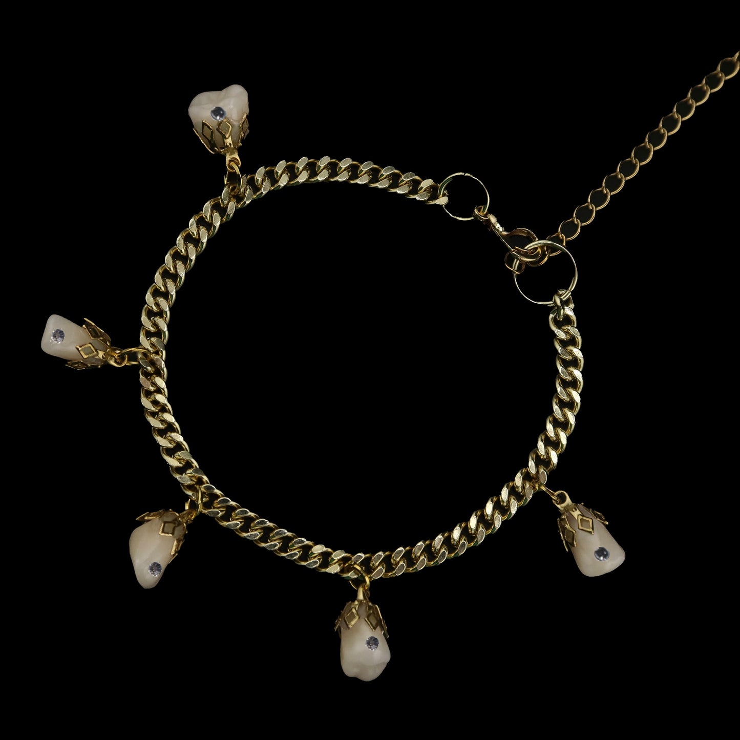 Snaggle Tooth Charm Bracelet