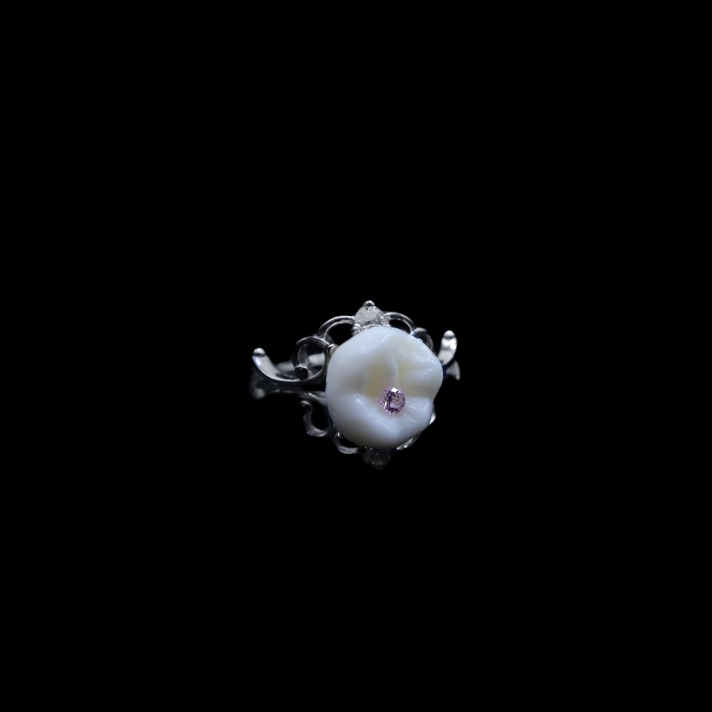 Filled Cavity Human Molar Ring