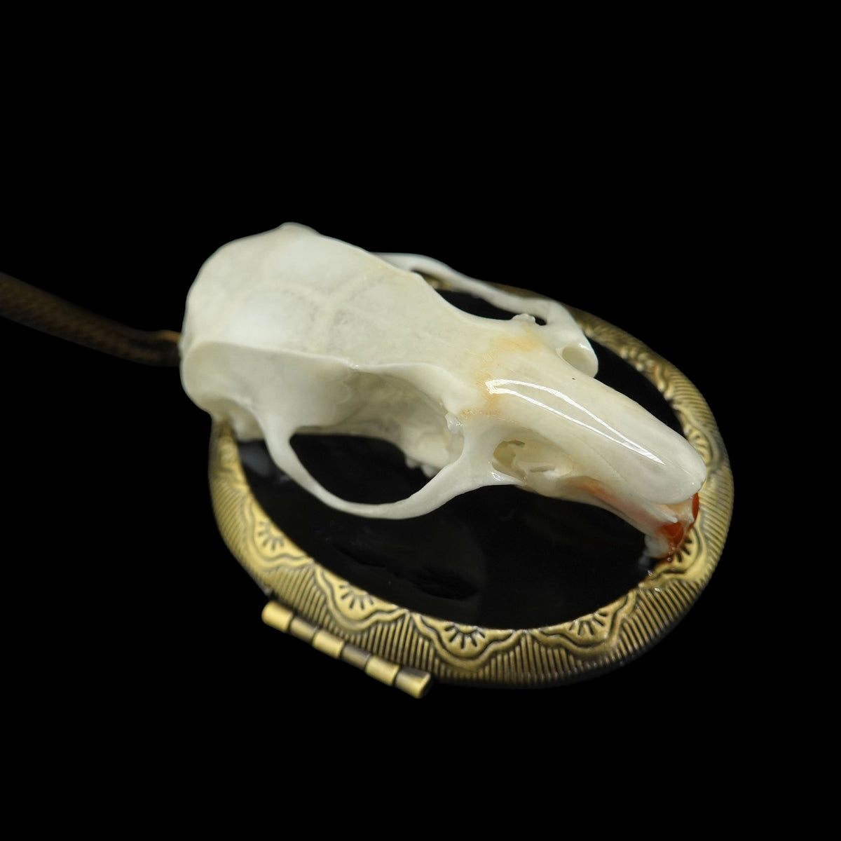 Death Becomes Her Locket