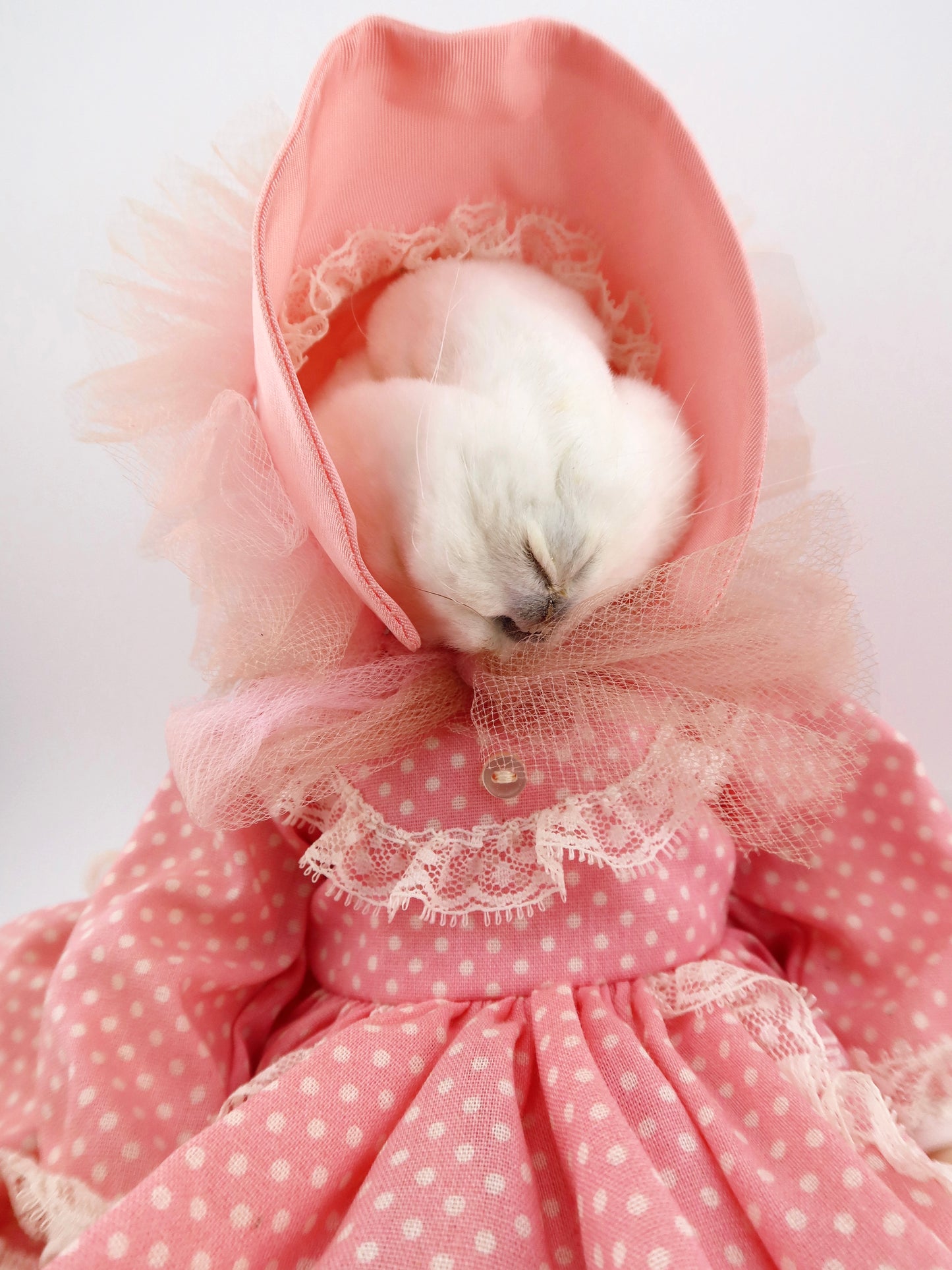 Bunny Doll
