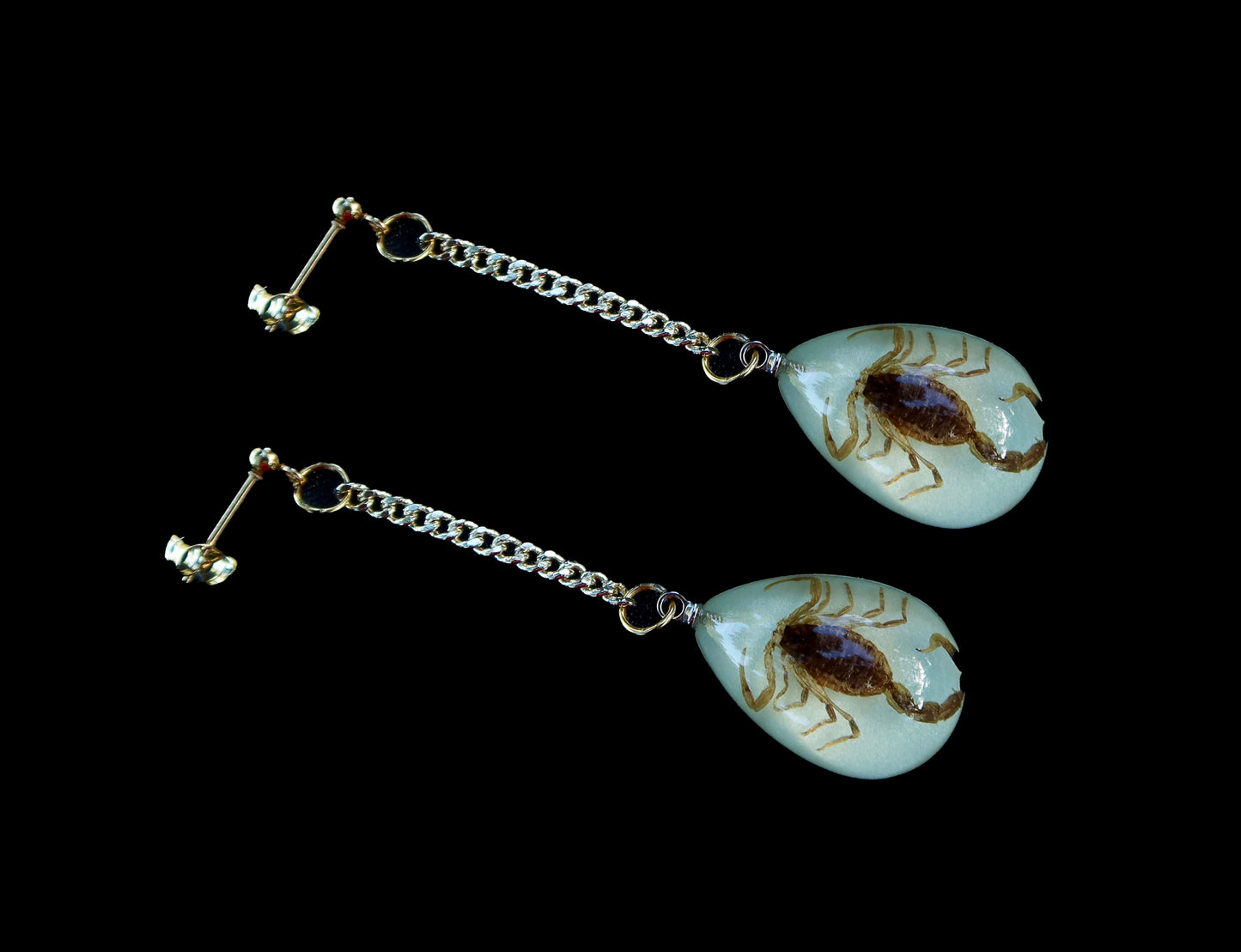 Scorpio Preserved Scorpion Earrings