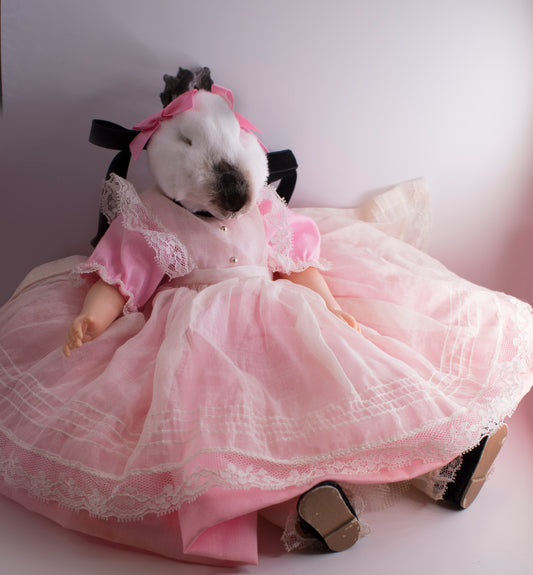 Bunny Doll