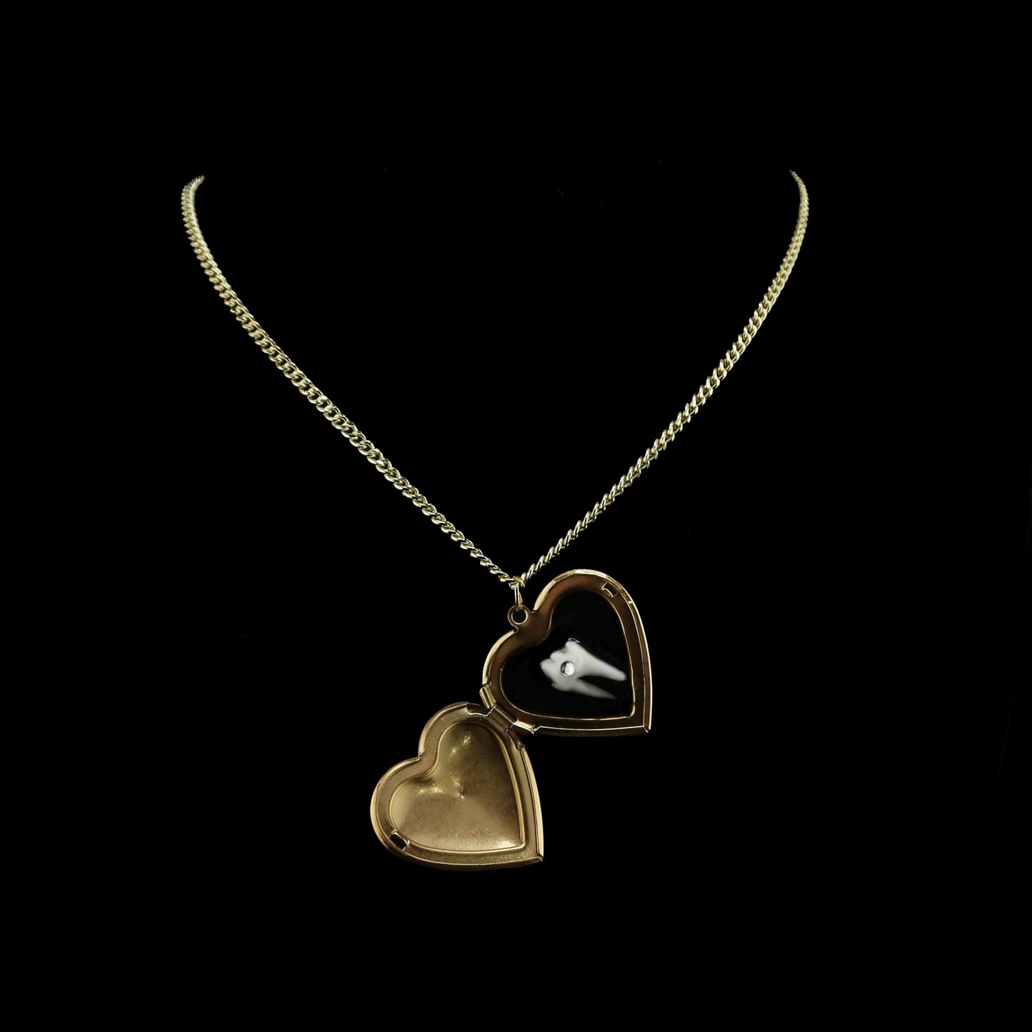 Loose Tooth Locket