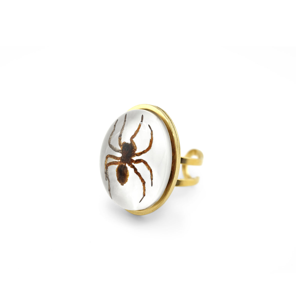 Spinning Webs Rings Real Spider Ring