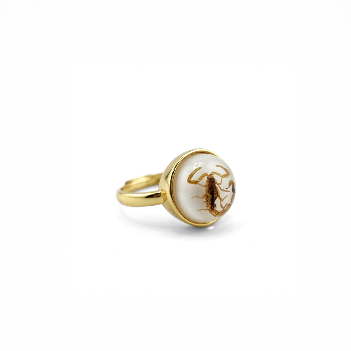 Scorpio Rings Real Scorpion