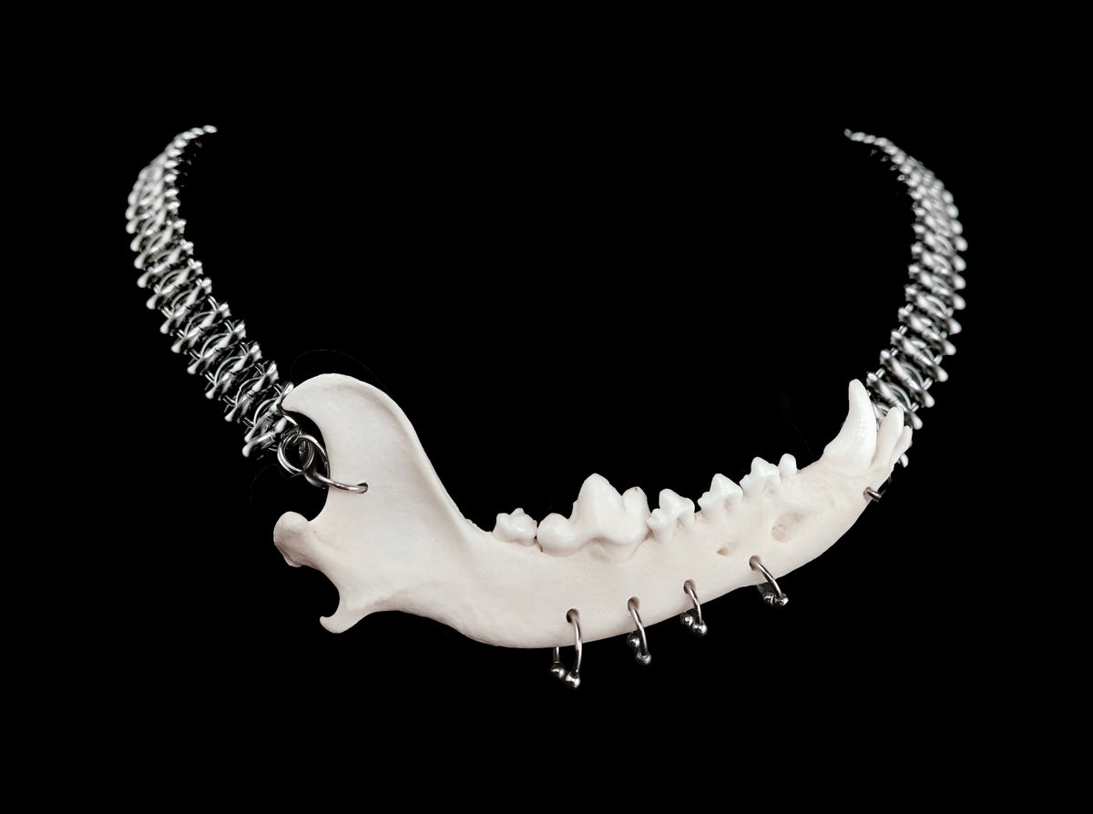 Jaw Breaker Choker