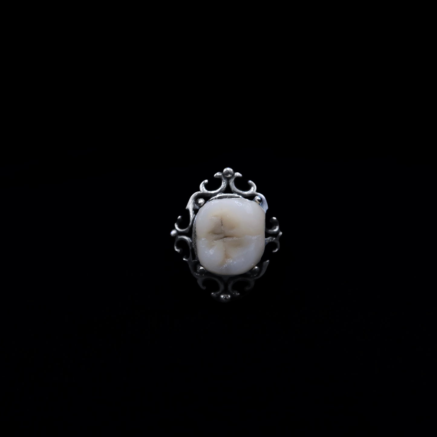 Filled Cavity Molar Ring