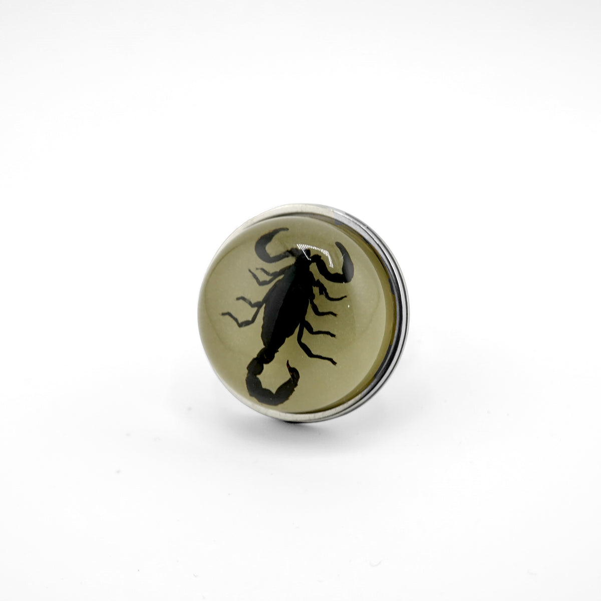 Scorpio Rings Real Scorpion